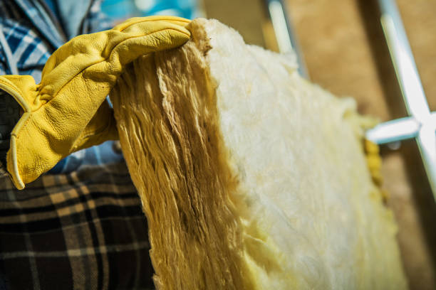 Best Geographic-Specific Insulation Services in San Marcos, CA